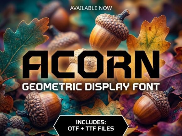 Acorn: A Typeface Built for Strength and Stability